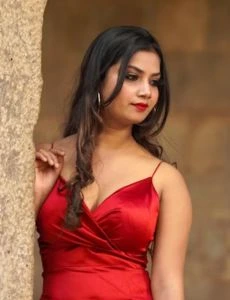 call girl service in Pratap Nagar